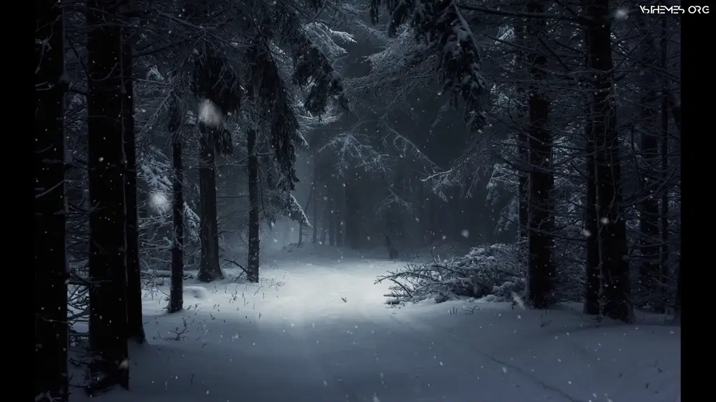 Dark Winter Night Wallpaper Dark Winter