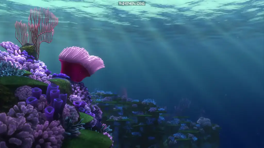 Live wallpaper Finding Nemo - Coral Reef download on VSThemes.org