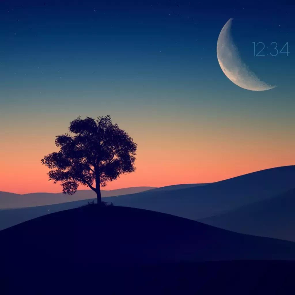 Minimal Loneliness VSThemes minimal-loneliness-vsthemes