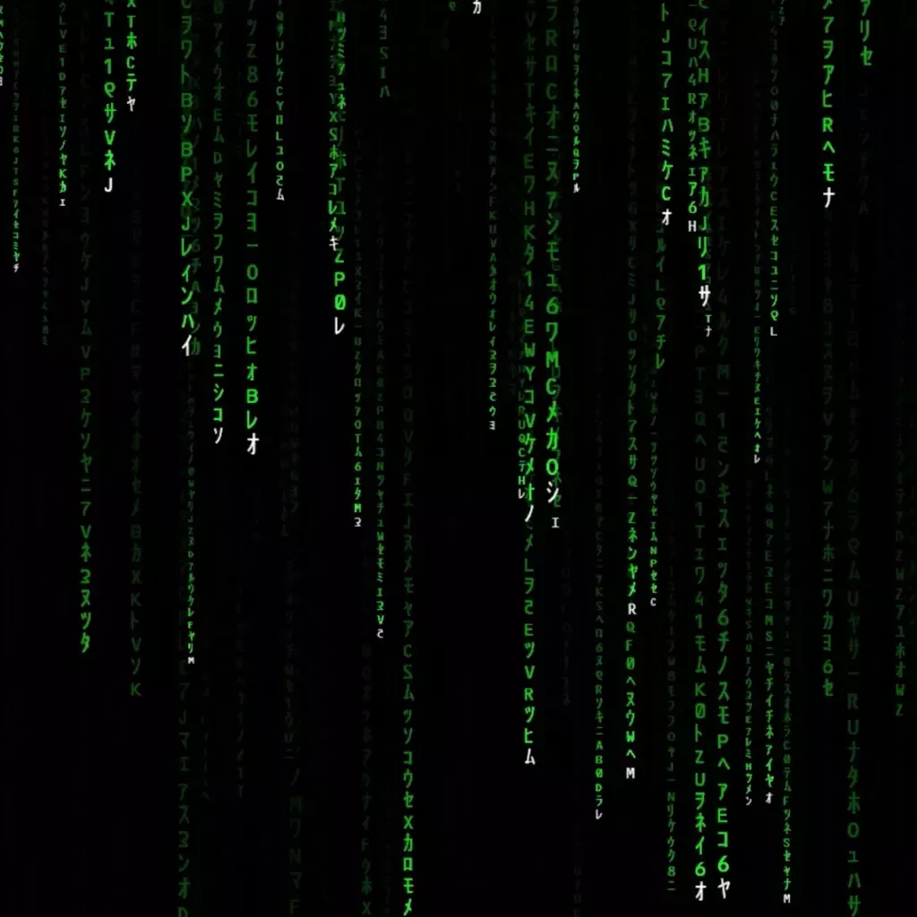 Live wallpaper Matrix Code Rain 4k download on VSThemes.org